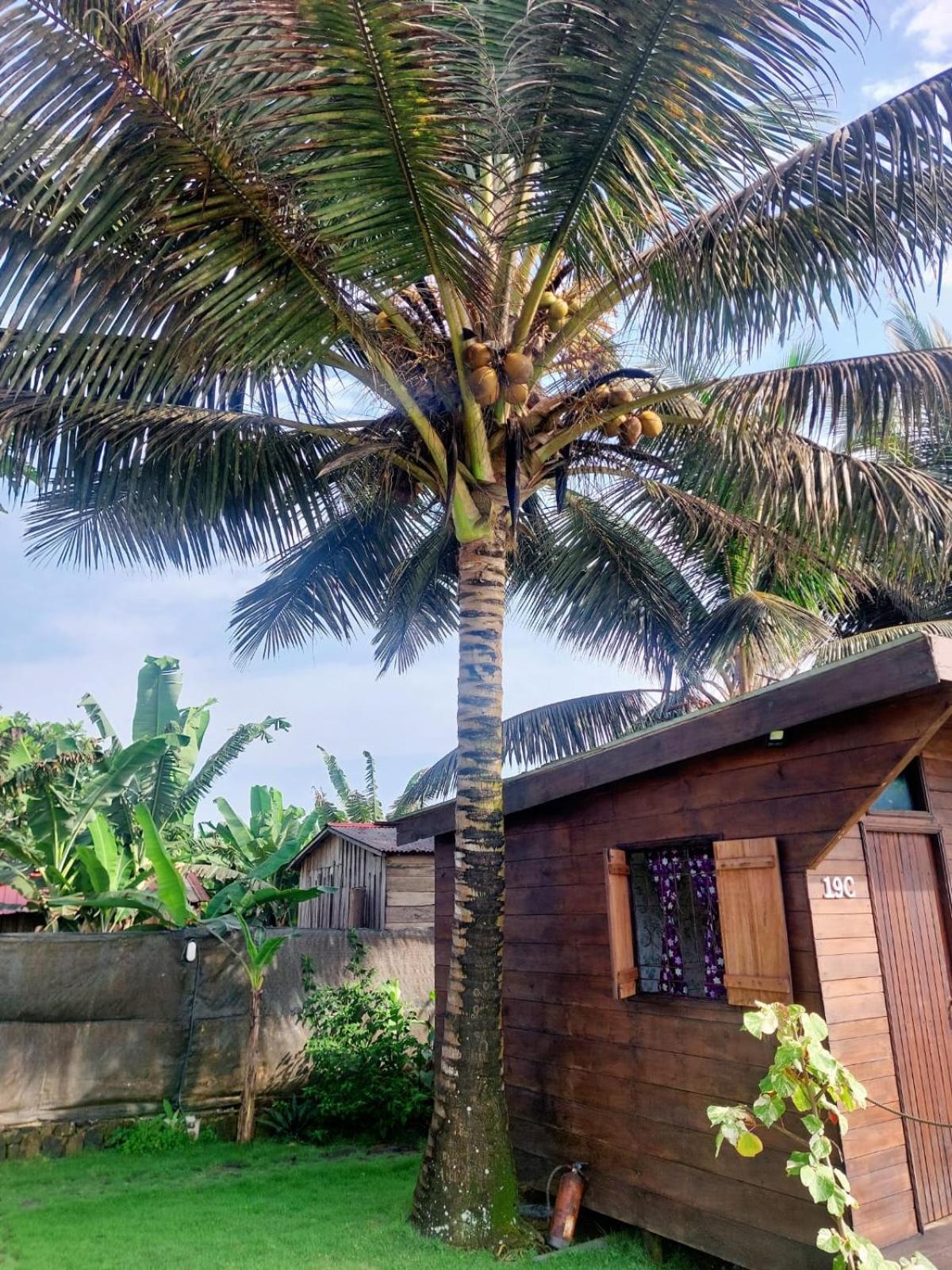 Gente D'Aqui Nge D'Ai Ee Villa Sao Tome Exterior photo